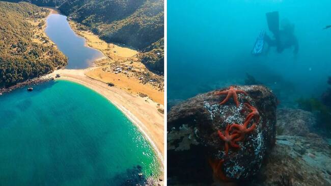 @Chile_estuyo y @centrobuceocaletacondor