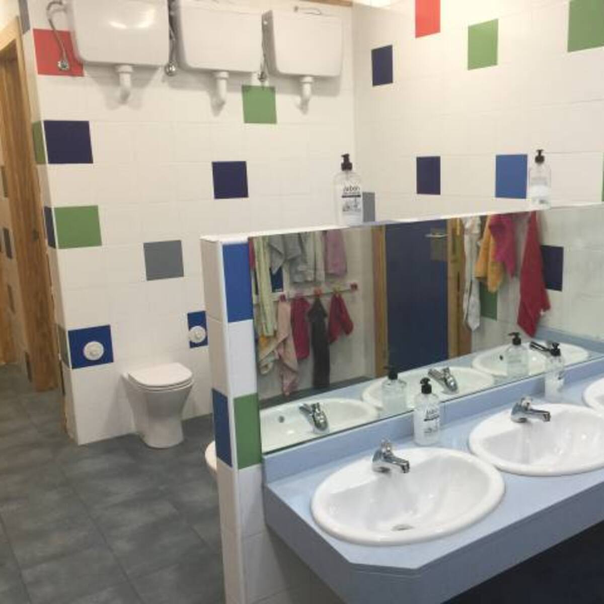 Colegio de Chillán implementará baño mixto para alumnos trans