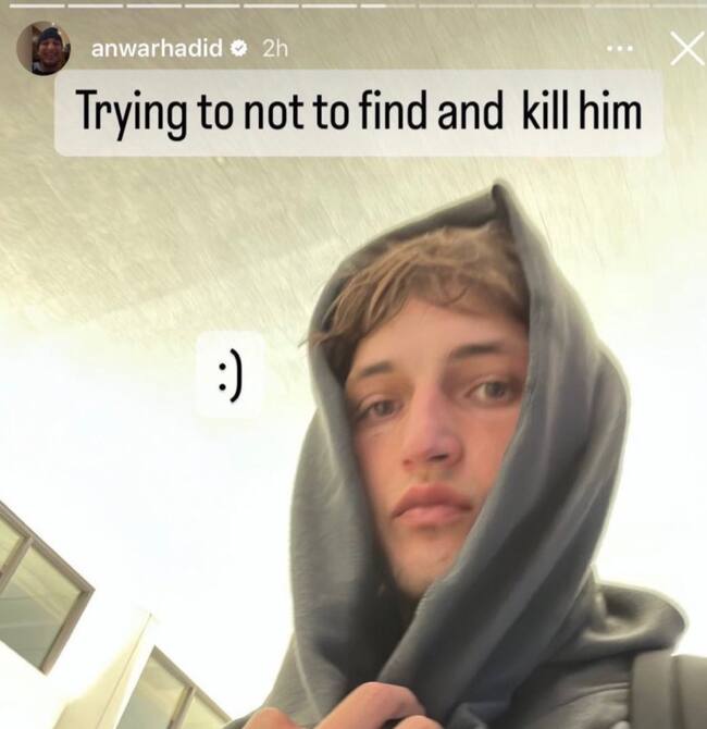 Fuente: Captura de pantalla de @anwarhadid