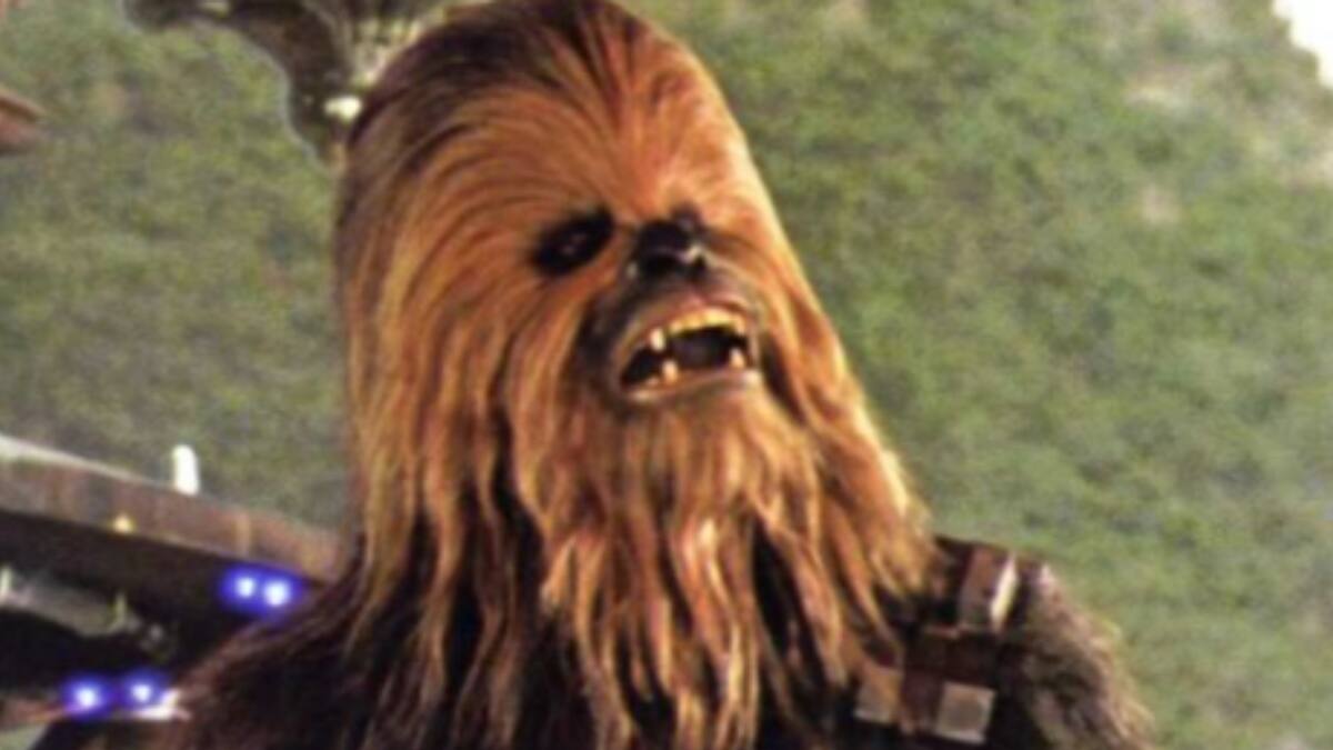 ¡No se metan con un Wookiee! Chewbacca es buscado por la Policía en Nueva Orleans