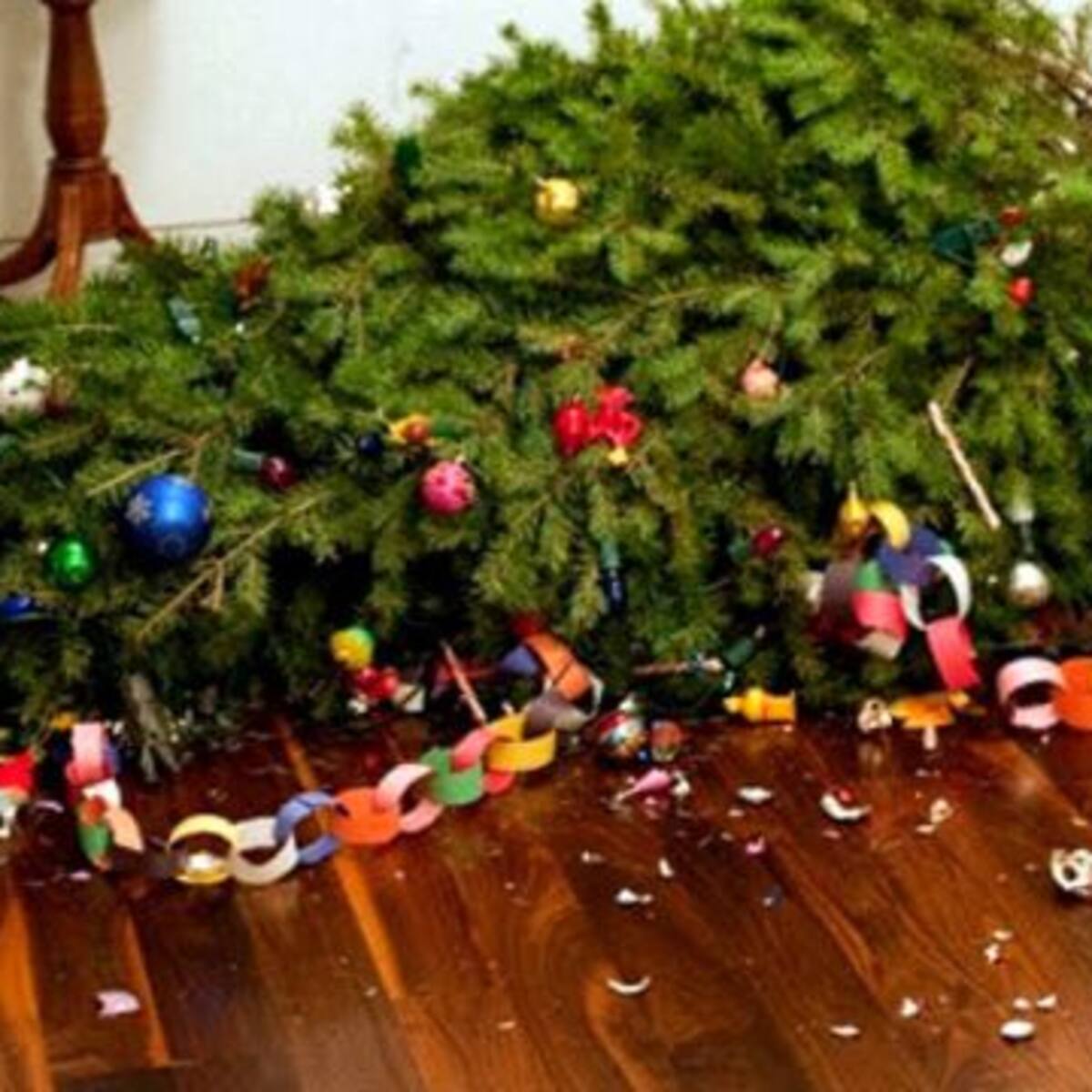 Así luce el nuevo árbol de navidad a prueba de gatos