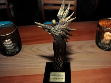 Premios Caleuche 2025: Conoce a los nominados y nominadas de la próxima edición