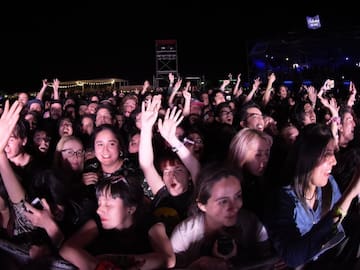 Festival Fauna Primavera 2024: Se revela el mapa oficial