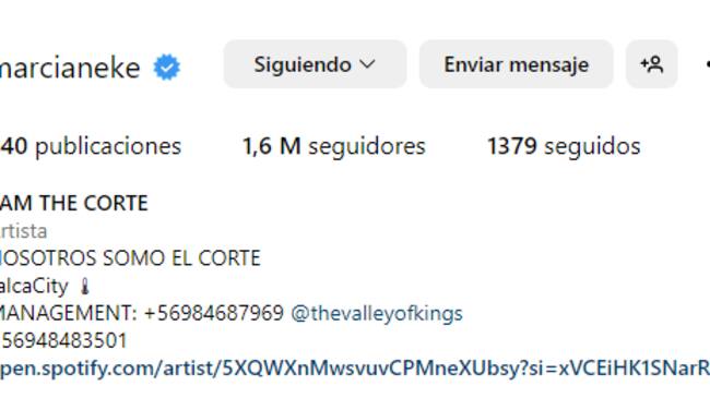 Captura Instagram @marcianeke</a>