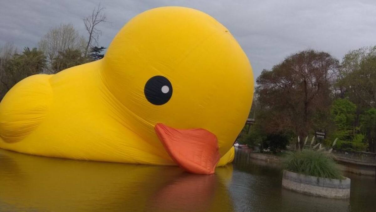 Usuarios de BancoEstado reportan caída de sus plataformas y reaccionan con estos memes