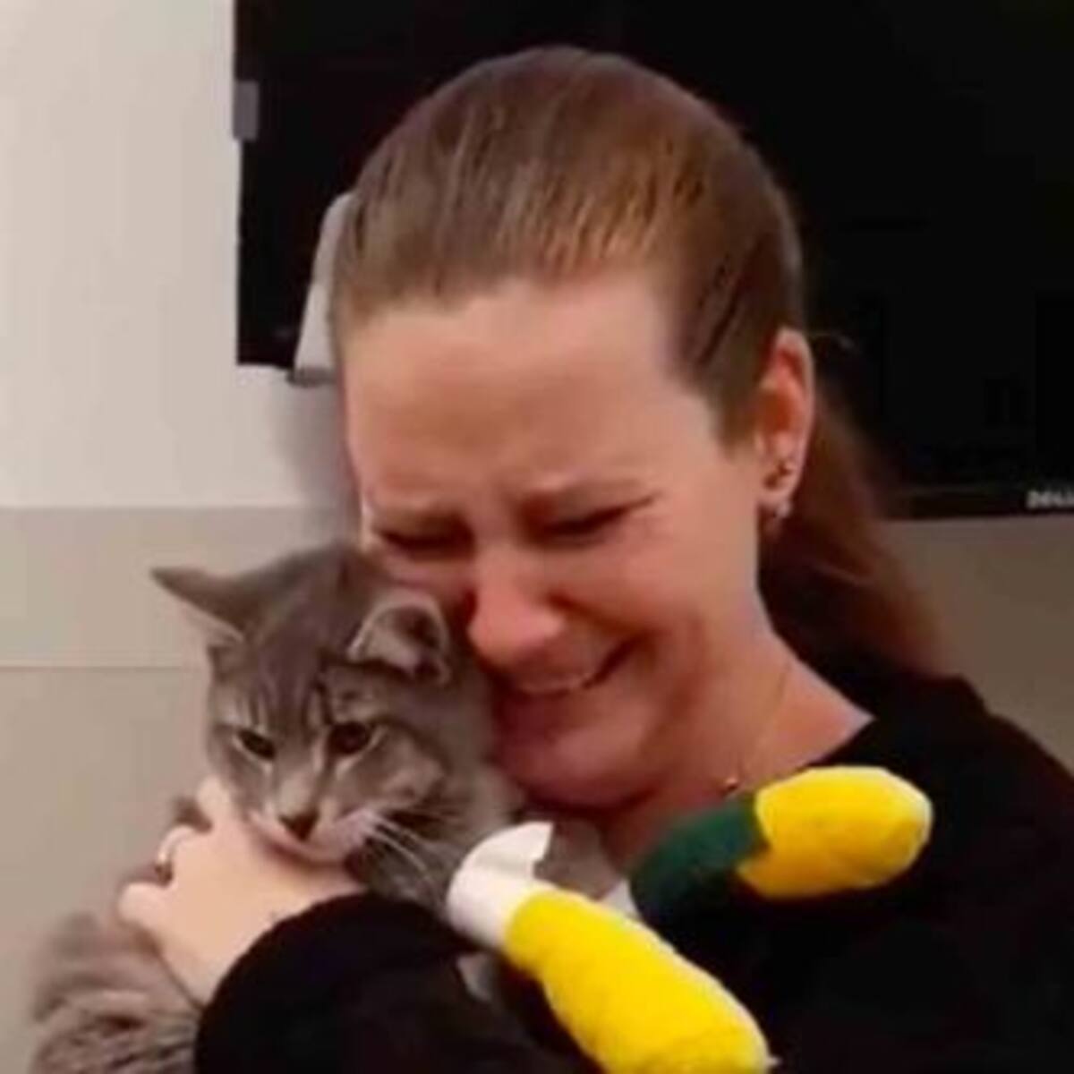 El emotivo reencuentro entre una mujer y su gato que escapó tras los incendios en California