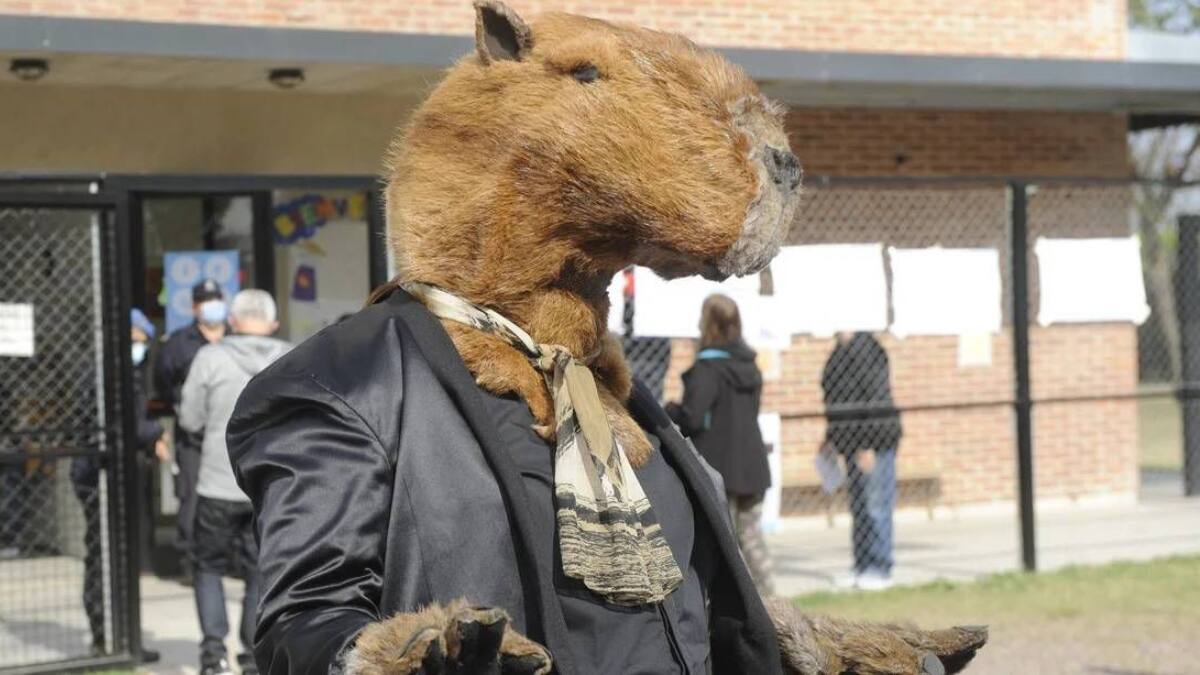 ¡El meme tomó mucha fuerza! Argentino votó disfrazado de carpincho en Nordelta