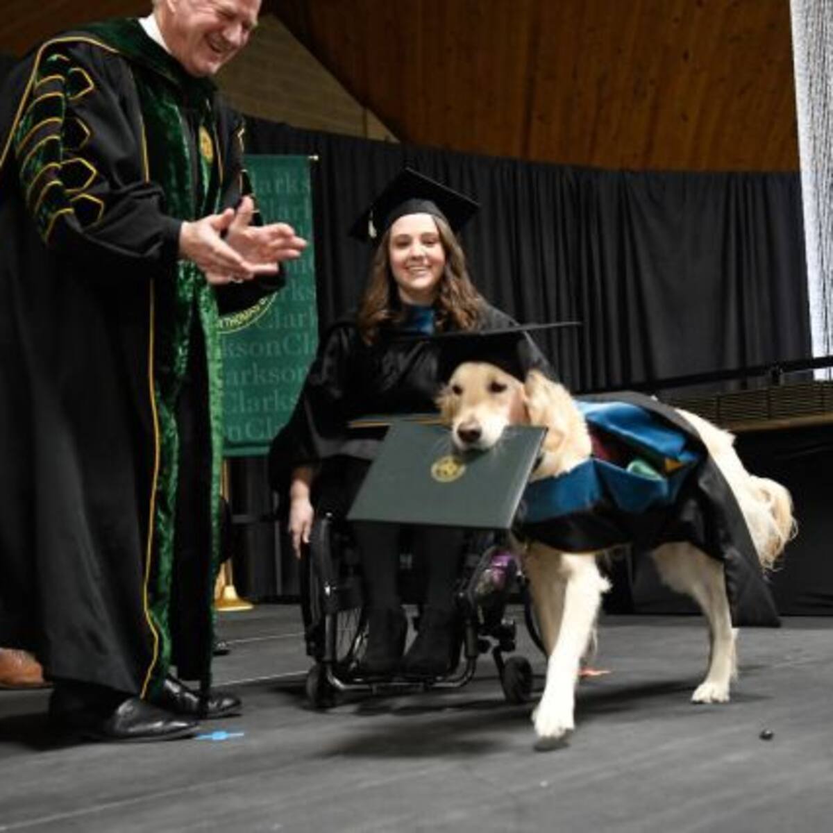 Perrito de asistencia se graduó con honores de una universidad de Nueva York
