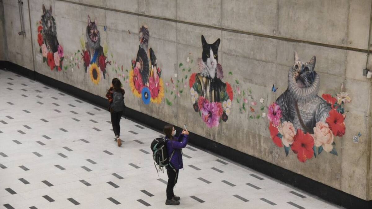 Metro de Santiago rinde un más que merecido homenaje a nuestros amos: ¡Los gatos!