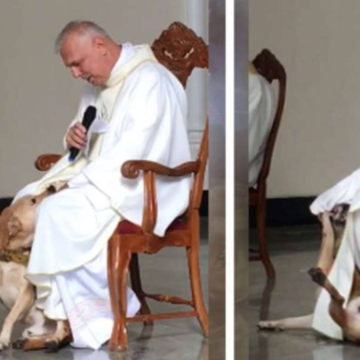 Perrito irrumpe en misa y se pone a jugar con la sotana de un sacerdote