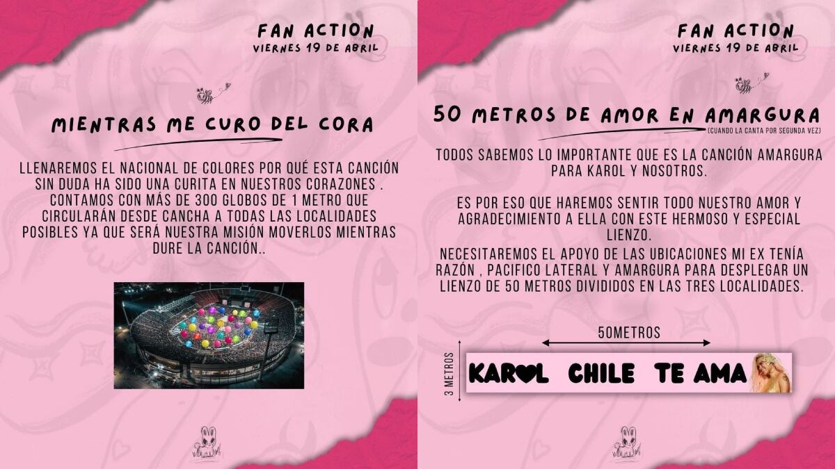 captura de @teambichotasgchile