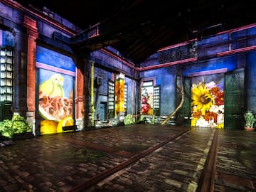 “Viva Frida Kahlo” debuta en Santiago con un sonido envolvente y un recorrido sensorial en formato 360°: así puedes decir presente