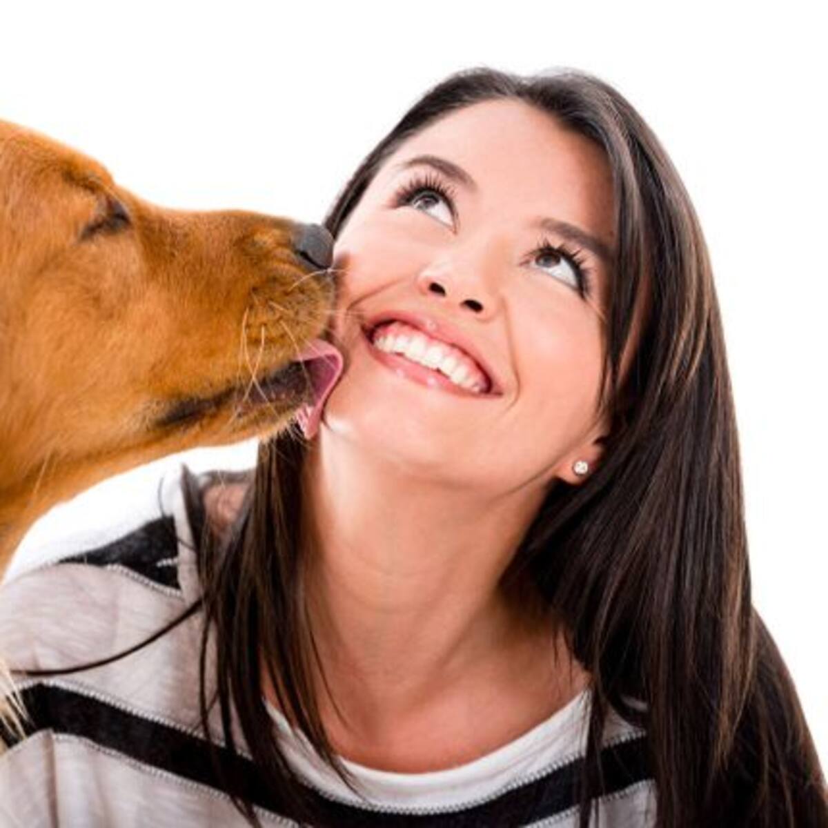 Minsal alerta sobre los riesgos de los lengüetazos de los perros