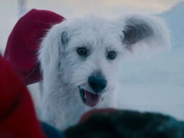 James Gunn da buenas noticias sobre el futuro de Krypto, el perro de Superman