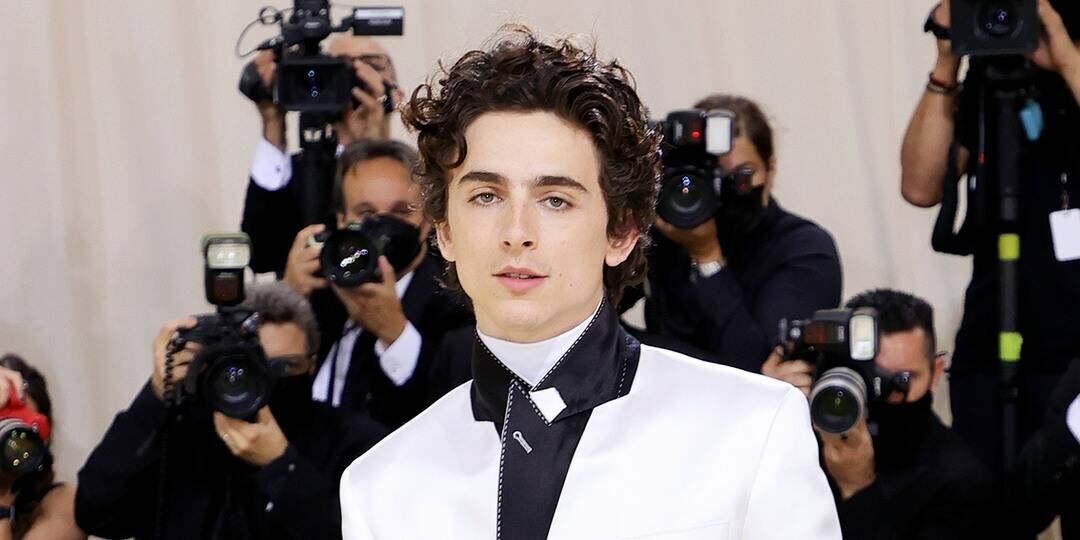 Timothée Chalamet Spiderman