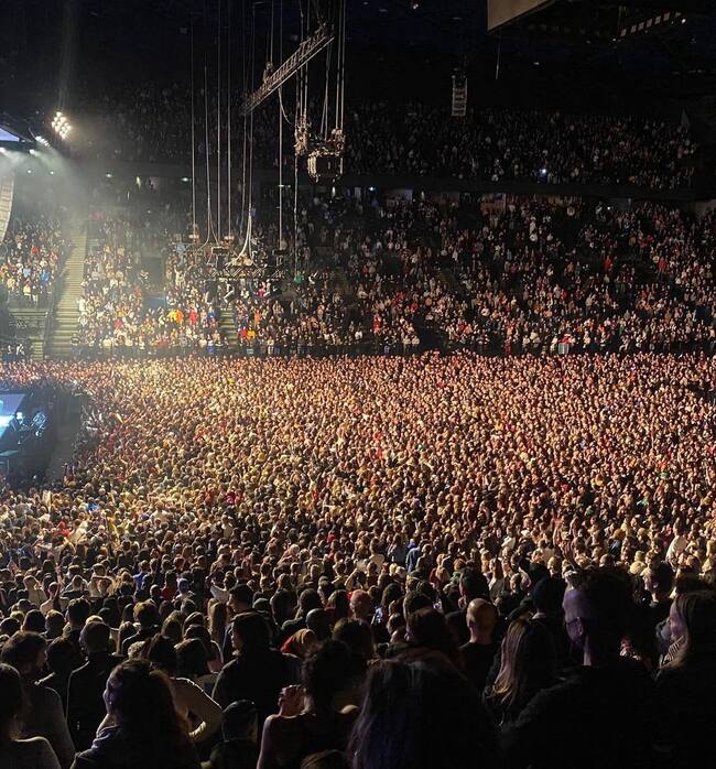 Instagram @rosalia.vt