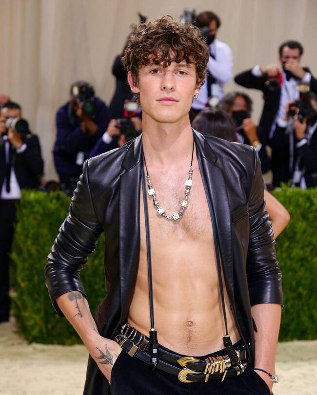 Shawn Mendes detector de mentiras