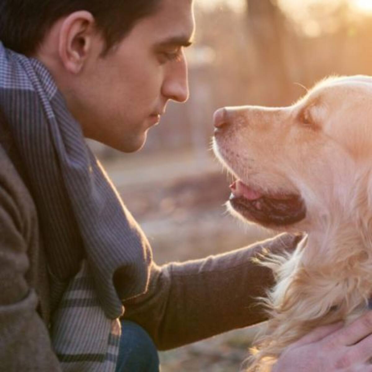 Según estudios, tener “perrhijos” pueden ser señal de trastornos mentales