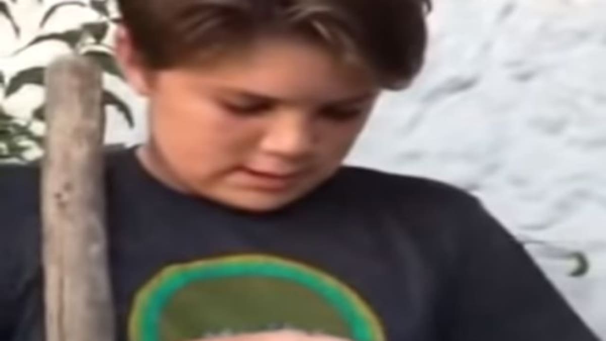 La segunda parte del «Vuela alto, Chimuelo», el video que la rompe en redes sociales