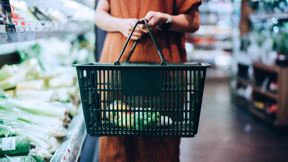 Activistas de «Animal Libre» proponen iniciativa de etiquetado vegano