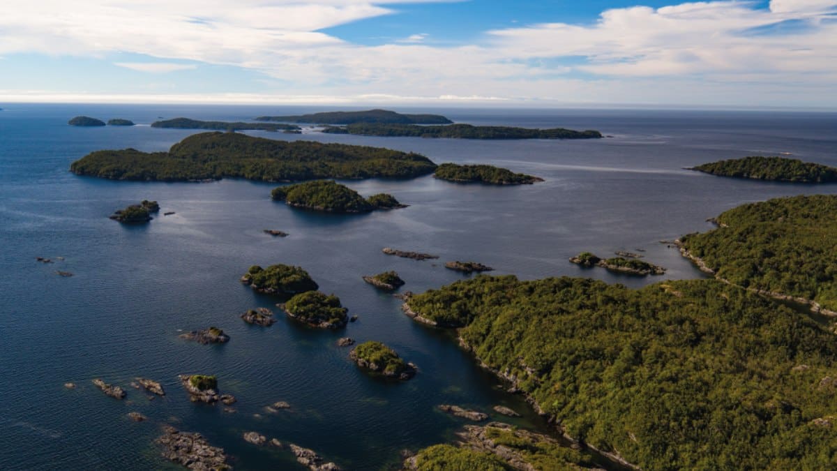 «Día de la Tierra: Invertir en nuestro planeta» y los avances que destaca WWF Chile