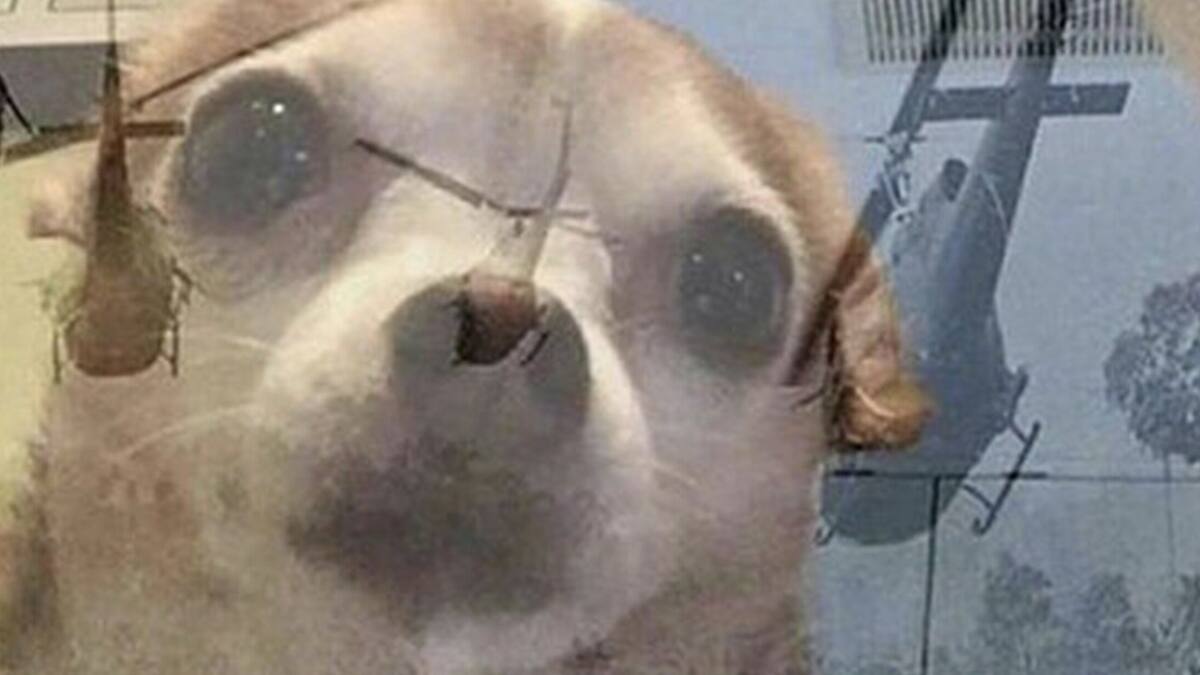 ¡No otra vez! Usuarios reportan problemas en Facebook e Instagram