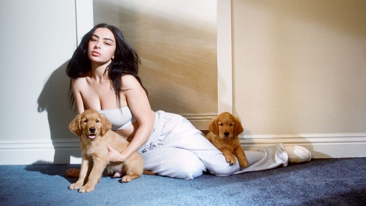 Charli XCX confiesa que su última búsqueda de Google estuvo relacionada a uno de los actores del momento