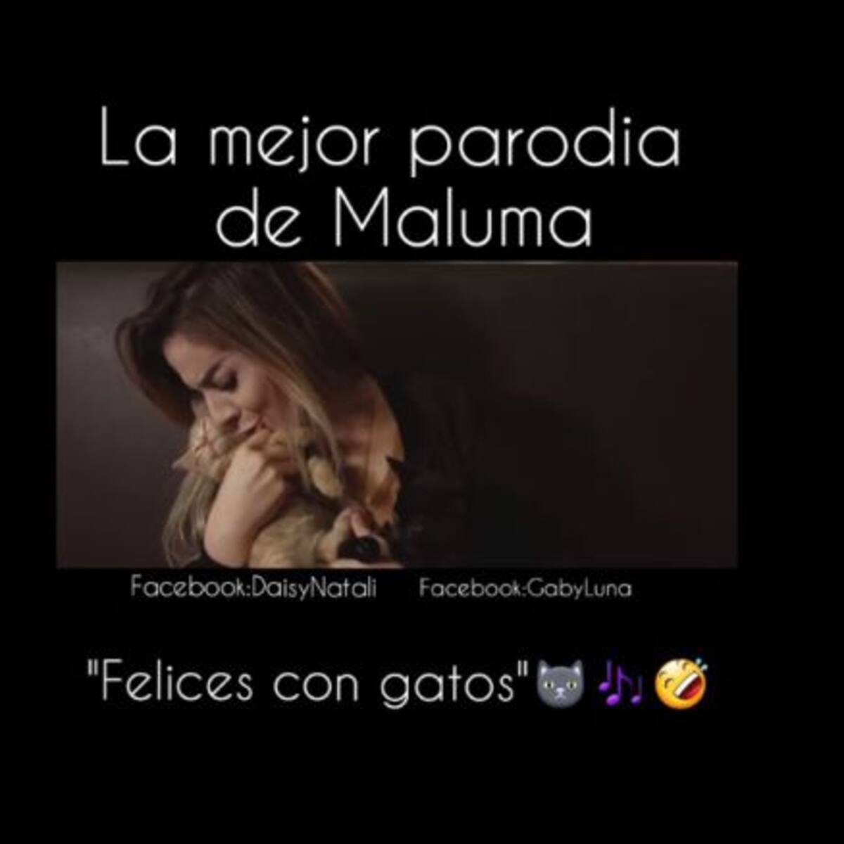 “Felices con Gatos”, la divertida parodia de Maluma