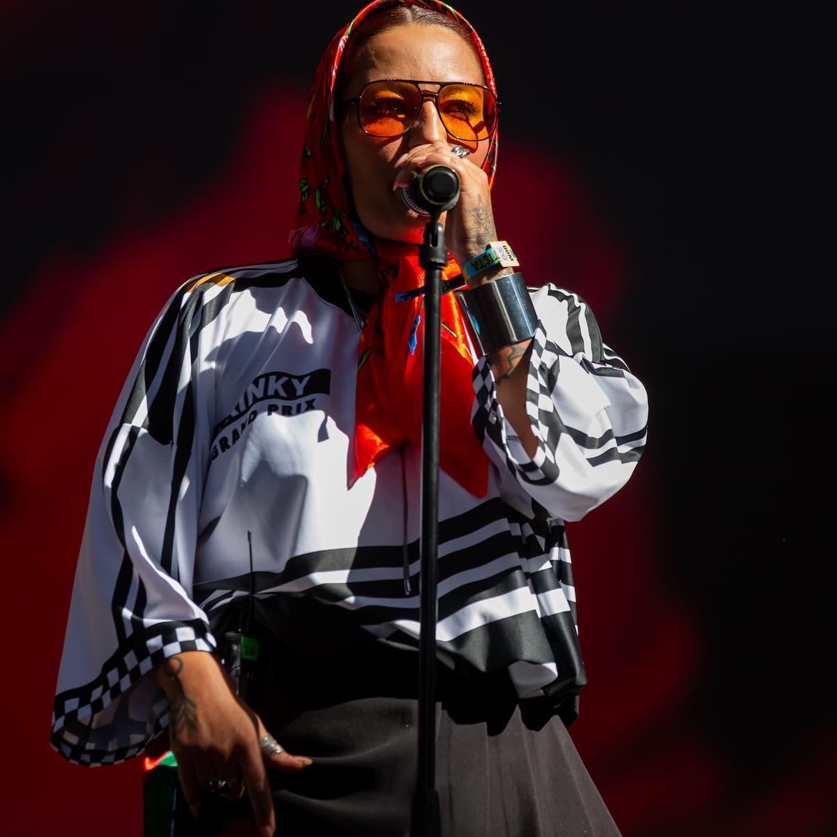 En el marco del Día de la Mujer 2026: Ana Tijoux encabezará show gratuito en Pedro Aguirre Cerda y estas son las coordenadas