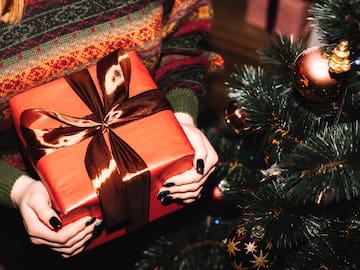 Este es el juguete furor para la Navidad 2024: ¿Un animal?