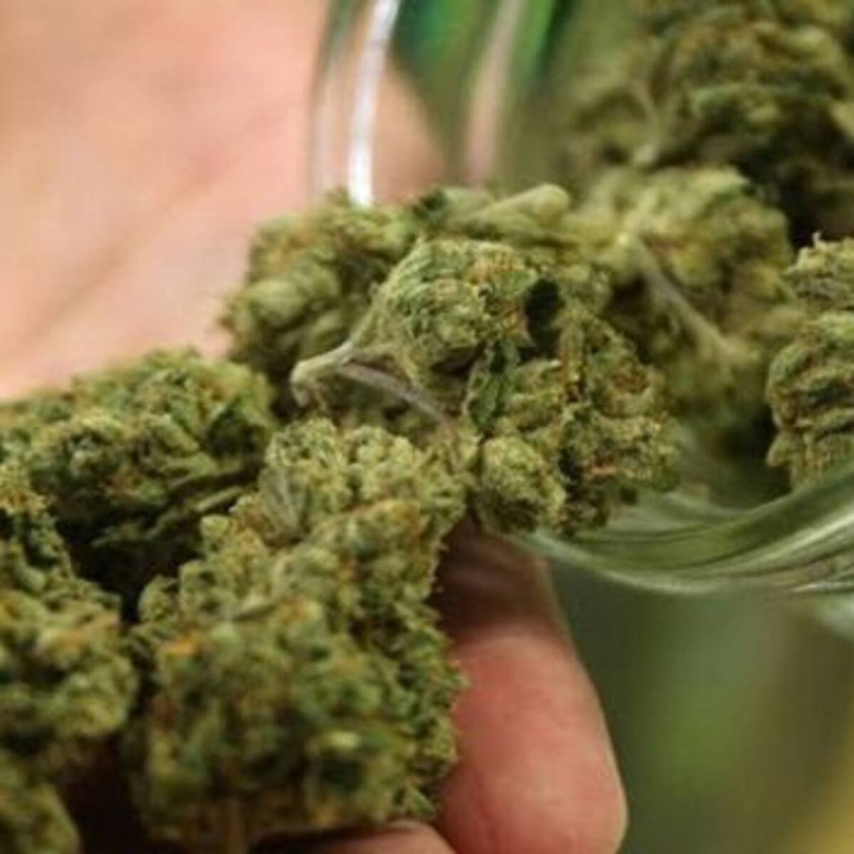 Expertos pronostican cuándo se legalizaría la marihuana en Chile