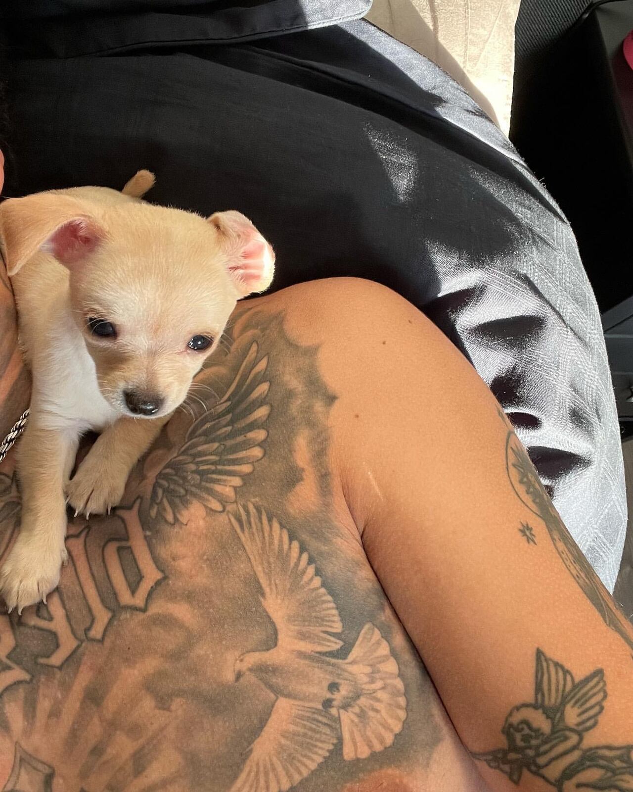 Fuente: @youngcister