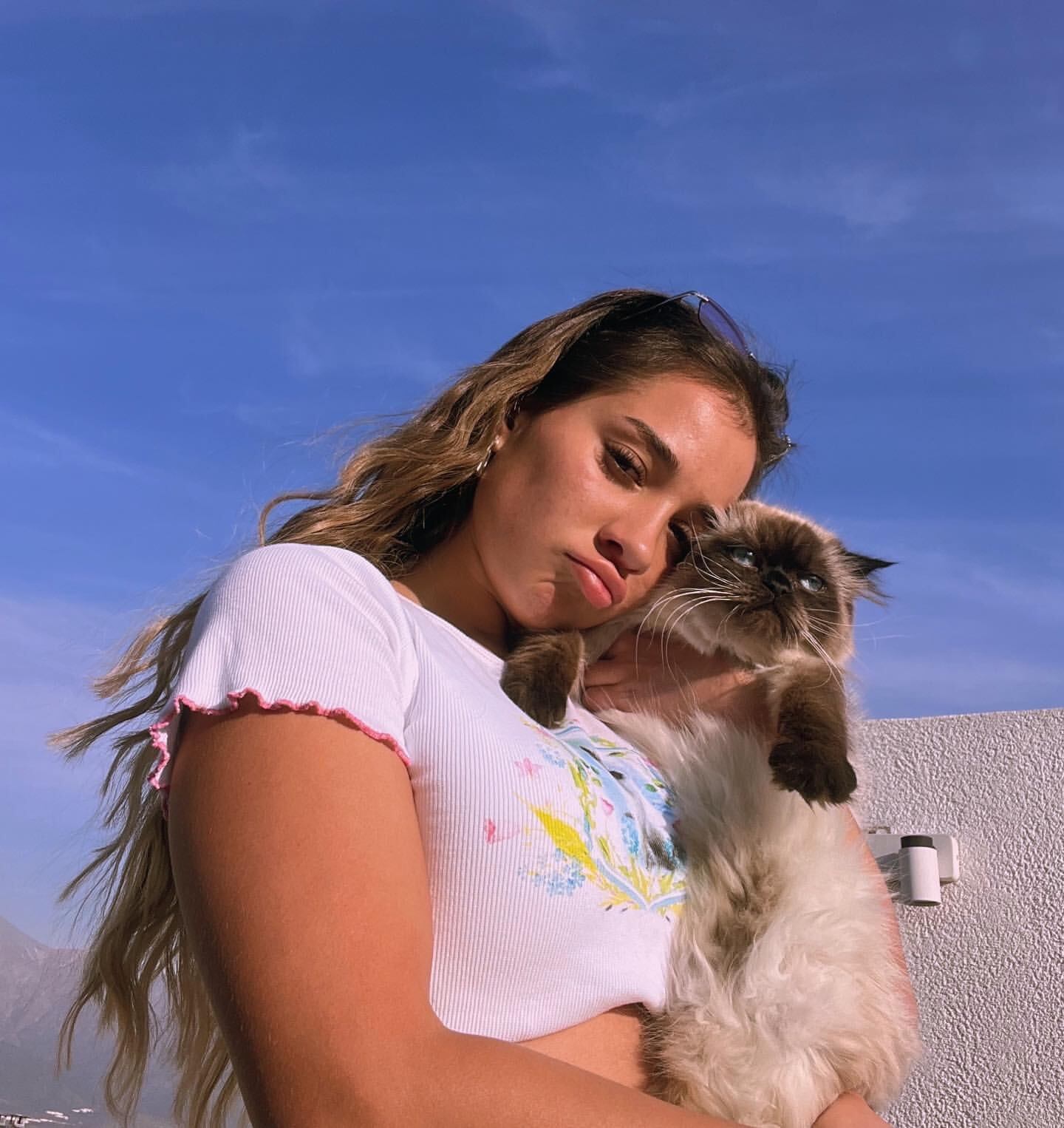 Instagram: @princesa.alba