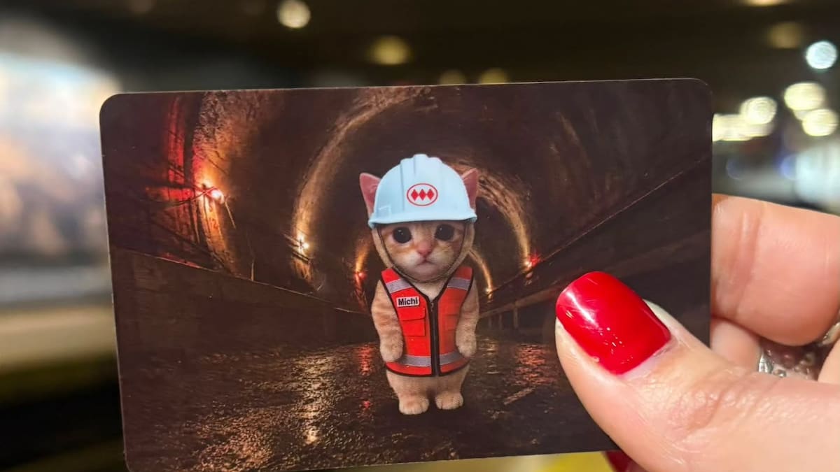 La Michi Bip! vuelve por tercera vez: ¿dónde conseguir la cotizada tarjeta?