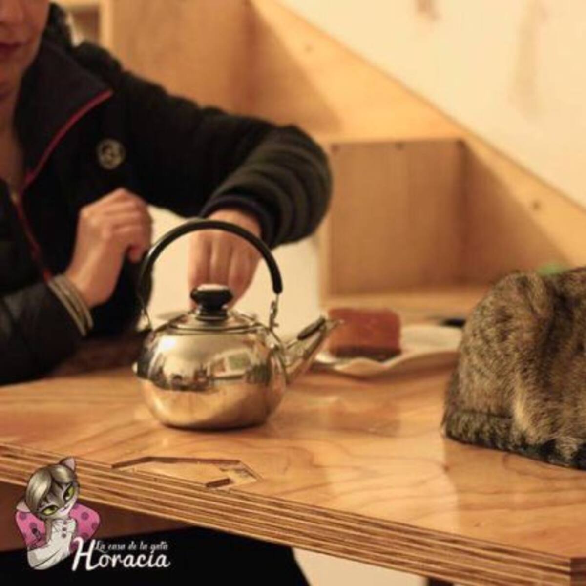 Un lugar para amante de los gatos