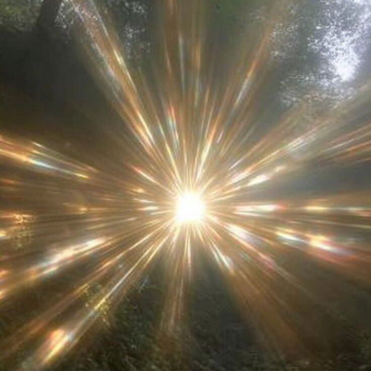 CL-Foto de perfil de Rosalía