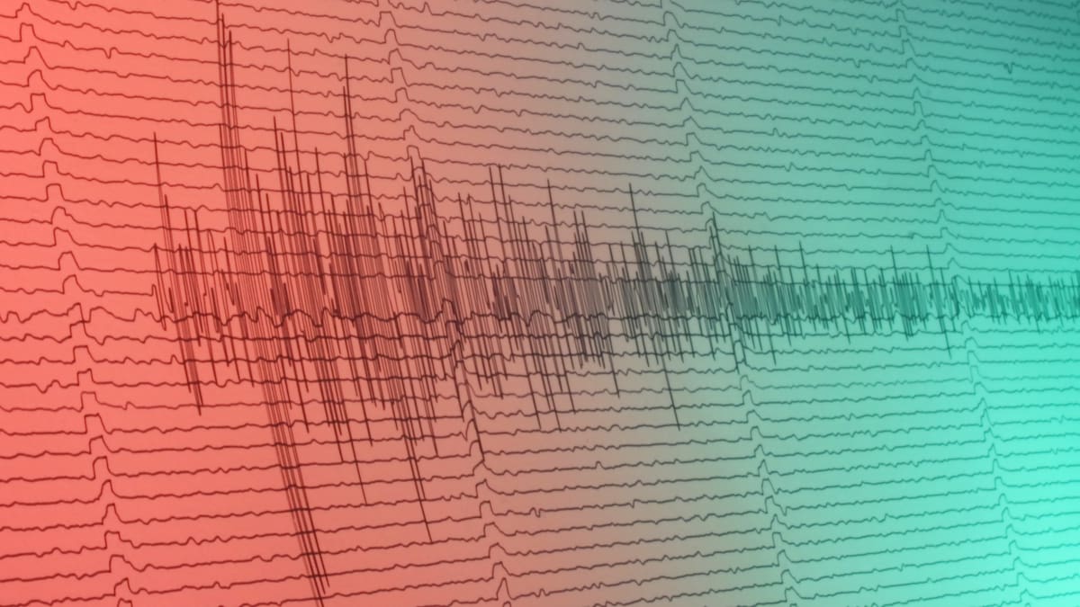 ¿Qué hacer si comienza un terremoto? SENAPRED entrega las claves para protegerte antes, durante y después