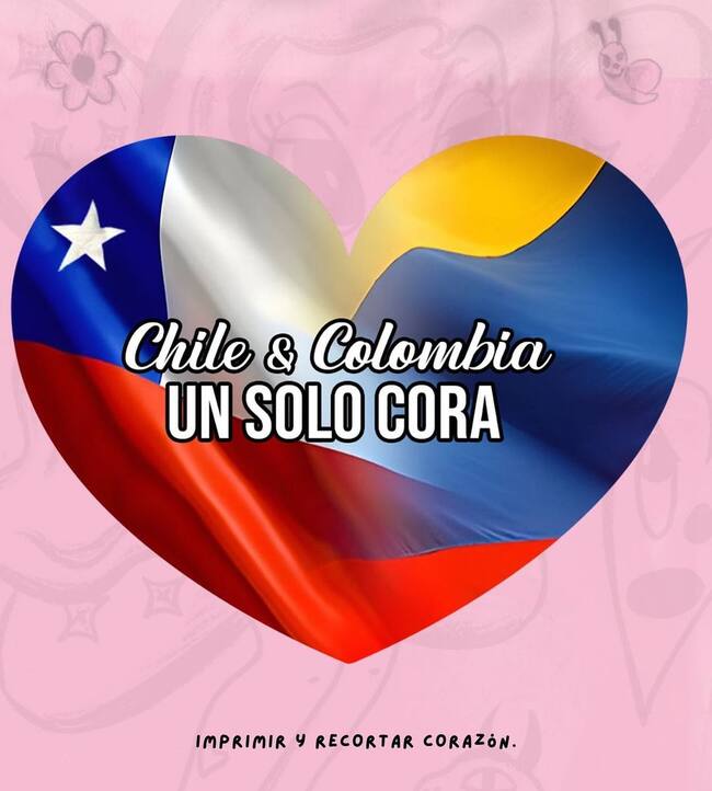 captura de @teambichotasgchile