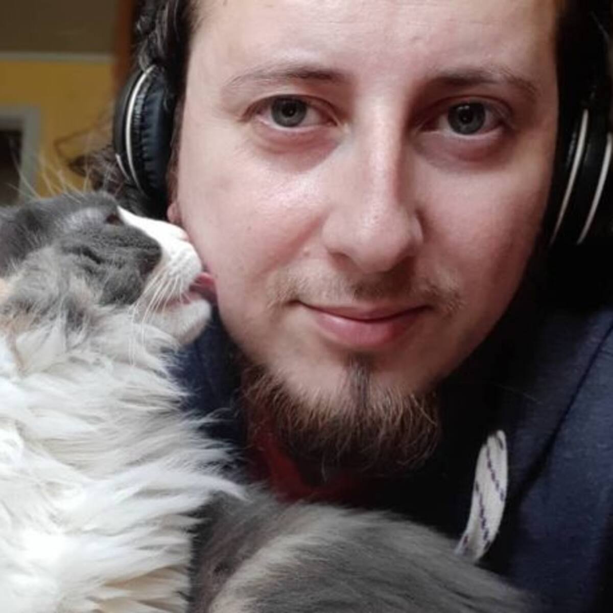 ¡Revisa los gatitos de los seguidores de LOS40!