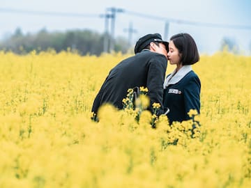 Baeksang Arts Awards 2025: Estos son los ganadores de la 61° edición