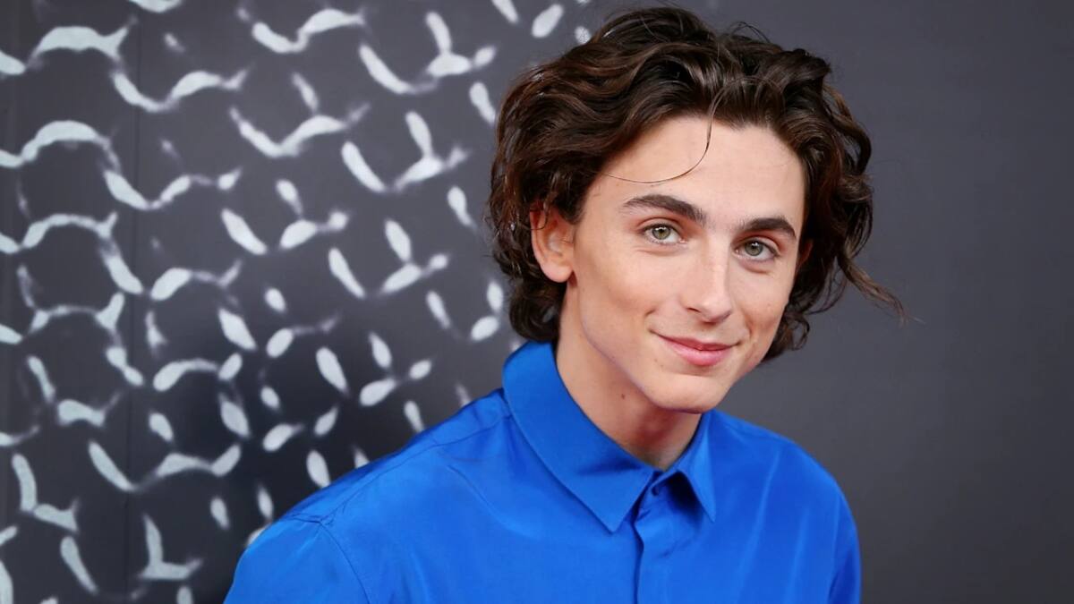 ¡Era Youtuber! Conoce el pasado oculto de Timothée Chalamet