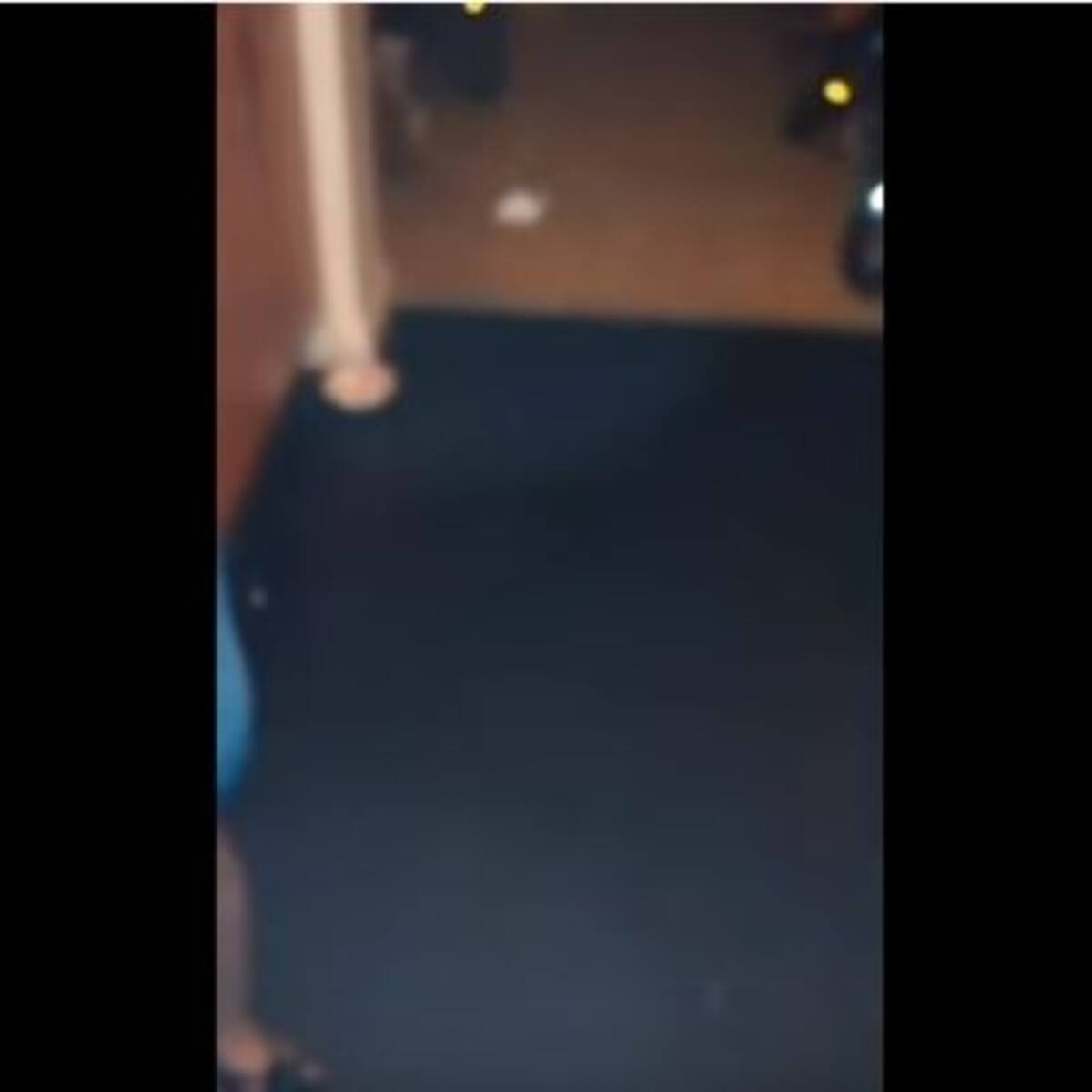 Perro fantasma deja a todos con la boca abierta