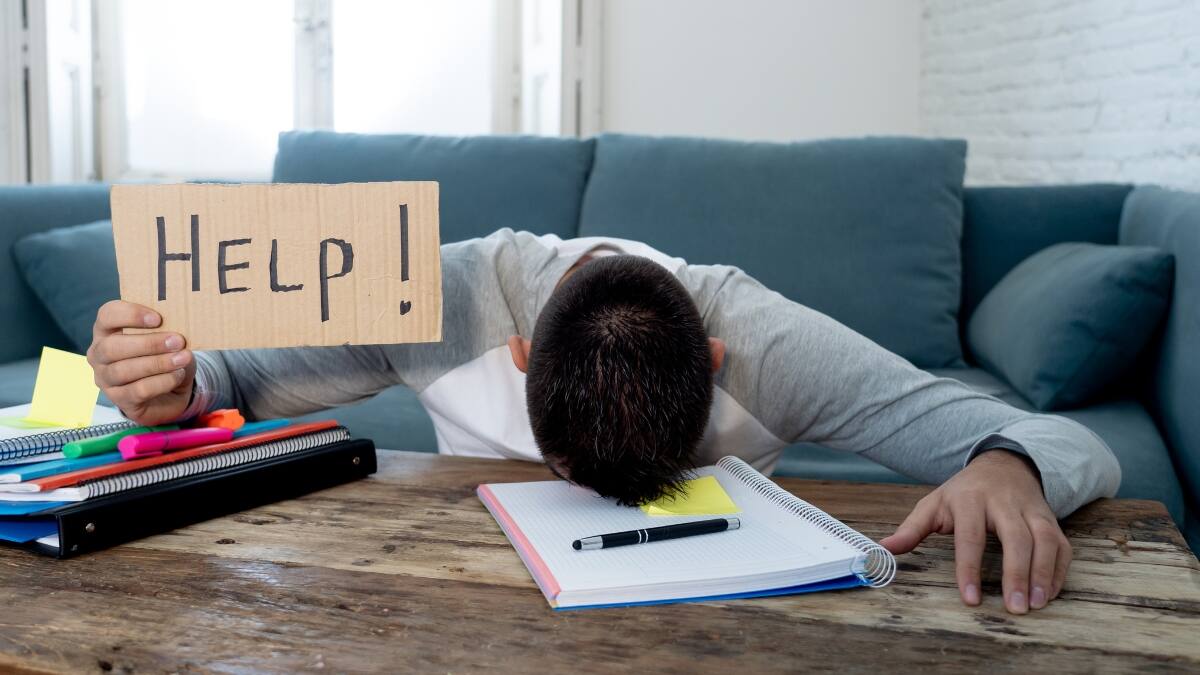 Estudio de la OCDE revela caída de la creatividad entre los adolescentes