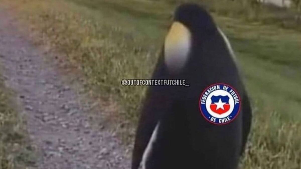 ¡Qué rabia! Los memes y reacciones que dejó la frustrante derrota de Chile ante Brasil