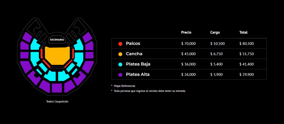 Precios de las entradas para Young Miko en Chile (Captura Punto Ticket</a>)