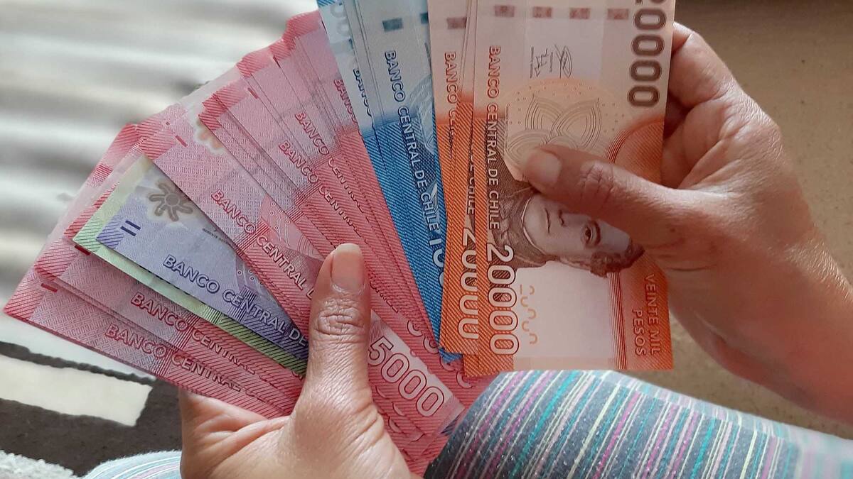 ¿No alcanzaste? ¡Revisa cuándo postular de nuevo al IFE Universal!