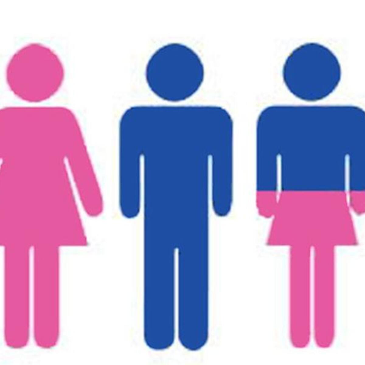 Mineduc busca implementar baños mixtos en colegios