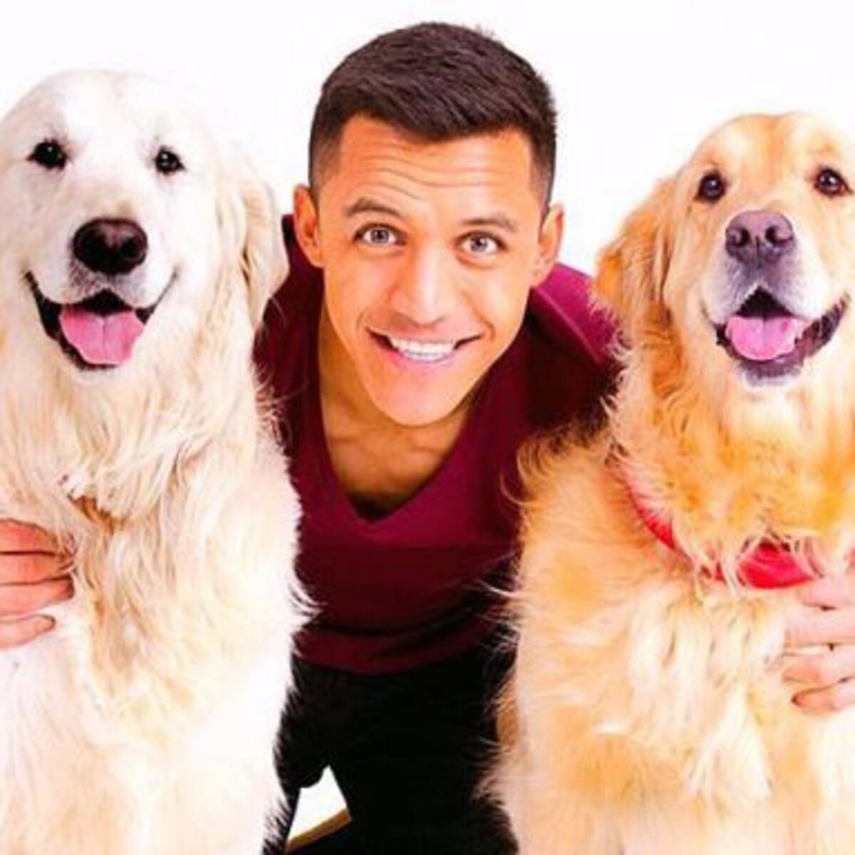Los perros de Alexis Sánchez ya están en Manchester