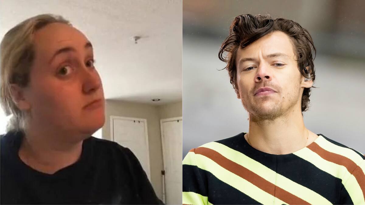La divertida reacción de la protagonista del meme Kombucha al conocer a Harry Styles