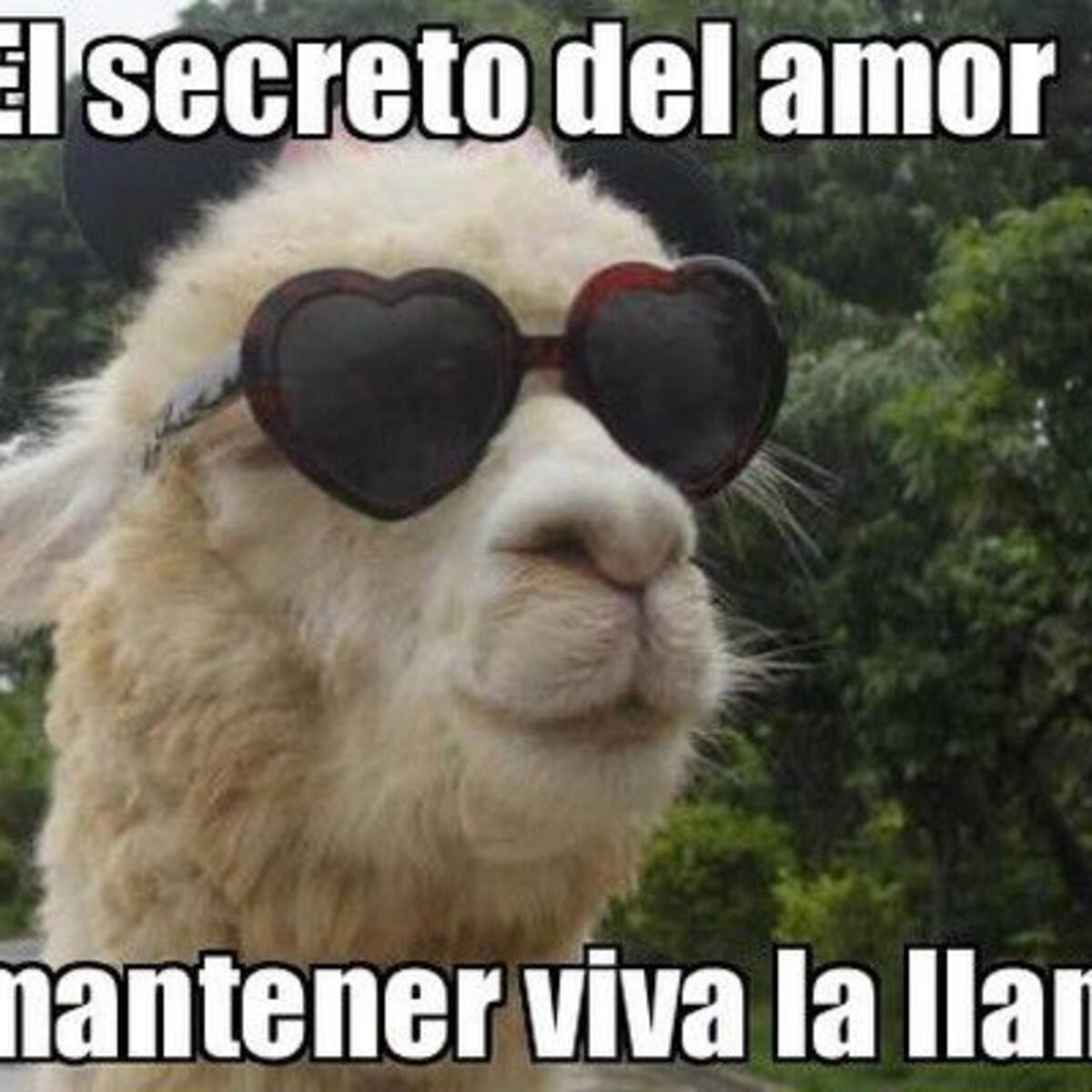 En este 14, no olvidar: ¿Cuánto dura realmente el amor?